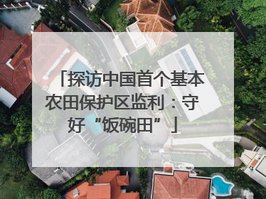 探访中国首个基本农田保护区监利：守好“饭碗田”