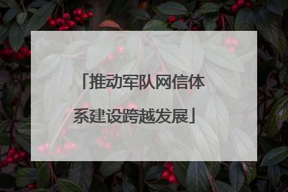 推动军队网信体系建设跨越发展