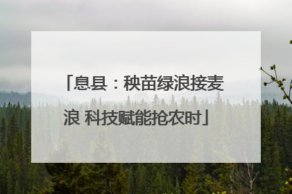 息县：秧苗绿浪接麦浪 科技赋能抢农时