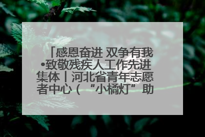感恩奋进 双争有我•致敬残疾人工作先进集体丨河北省青年志愿者中心（“小橘灯”助残接力计划实施团队）：用温暖陪伴，守护特殊孩子成长