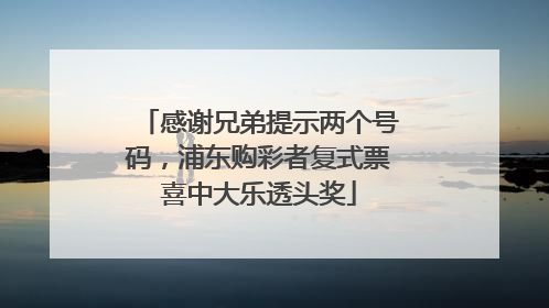 感谢兄弟提示两个号码，浦东购彩者复式票喜中大乐透头奖