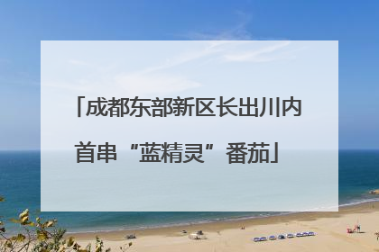 成都东部新区长出川内首串“蓝精灵”番茄