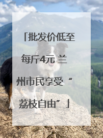 批发价低至每斤4元 兰州市民享受“荔枝自由”