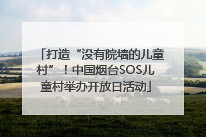 打造“没有院墙的儿童村”！中国烟台SOS儿童村举办开放日活动