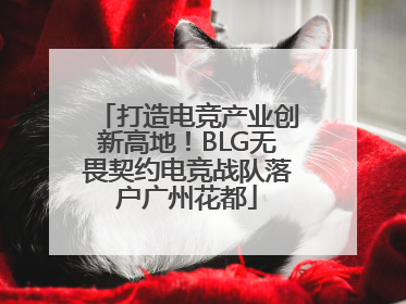 打造电竞产业创新高地！BLG无畏契约电竞战队落户广州花都