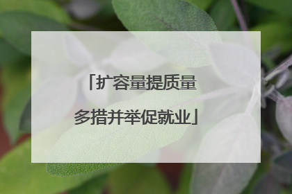 扩容量提质量 多措并举促就业