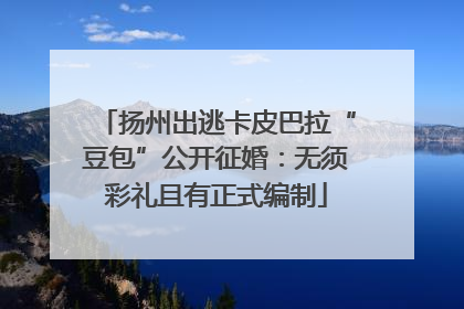 扬州出逃卡皮巴拉“豆包”公开征婚：无须彩礼且有正式编制