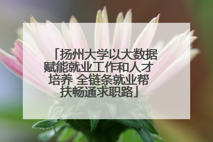 扬州大学以大数据赋能就业工作和人才培养 全链条就业帮扶畅通求职路