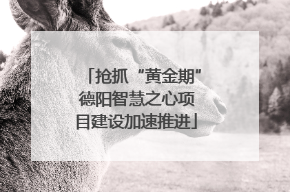 抢抓“黄金期” 德阳智慧之心项目建设加速推进