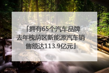 拥有65个汽车品牌 去年槐荫区新能源汽车销售额达113.9亿元