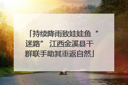 持续降雨致娃娃鱼“迷路” 江西金溪县干群联手助其重返自然