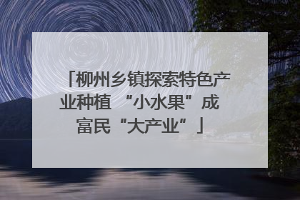 柳州乡镇探索特色产业种植 “小水果”成富民“大产业”