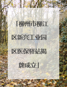 柳州市柳江区新兴工业园区医保驿站揭牌成立