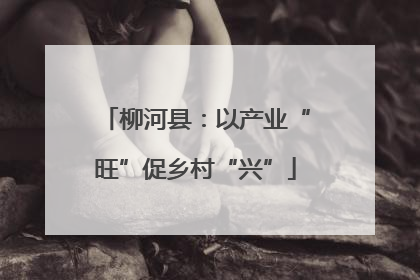 柳河县：以产业“旺”促乡村“兴”