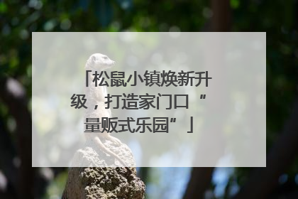 松鼠小镇焕新升级，打造家门口“量贩式乐园”