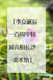 李立诞辰一百周年特展亮相长沙美术馆