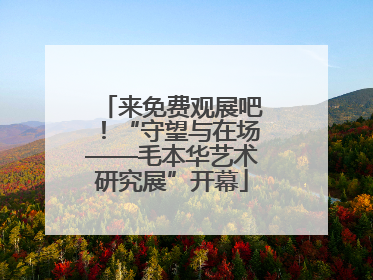 来免费观展吧！“守望与在场——毛本华艺术研究展”开幕