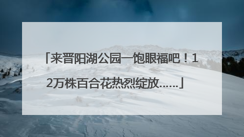 来晋阳湖公园一饱眼福吧！12万株百合花热烈绽放……