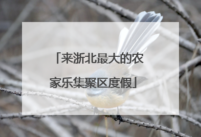 来浙北最大的农家乐集聚区度假