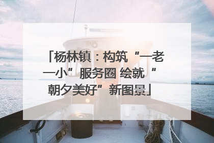 杨林镇：构筑“一老一小”服务圈 绘就“朝夕美好”新图景