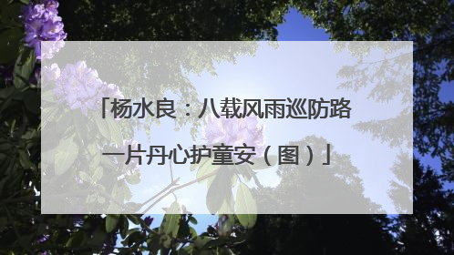 杨水良：八载风雨巡防路 一片丹心护童安（图）