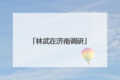 林武在济南调研