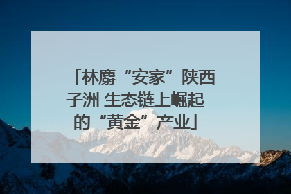 林麝“安家”陕西子洲 生态链上崛起的“黄金”产业