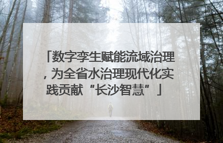 数字孪生赋能流域治理，为全省水治理现代化实践贡献“长沙智慧”