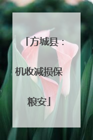 方城县：机收减损保粮安