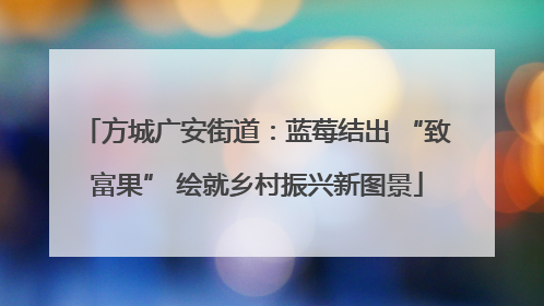 方城广安街道：蓝莓结出 “致富果” 绘就乡村振兴新图景