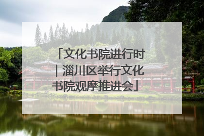 文化书院进行时｜淄川区举行文化书院观摩推进会