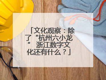 文化观察：除了“杭州六小龙” 浙江数字文化还有什么？