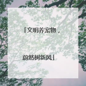 文明养宠物，蔚然树新风
