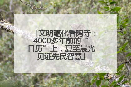 文明蕴化看陶寺：4000多年前的“日历”上，夏至晨光见证先民智慧