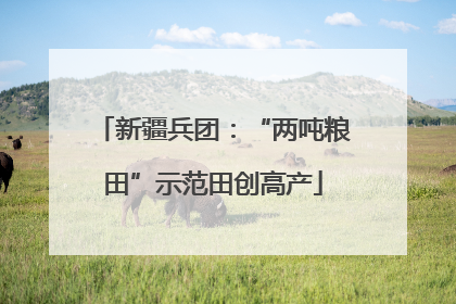新疆兵团：“两吨粮田”示范田创高产
