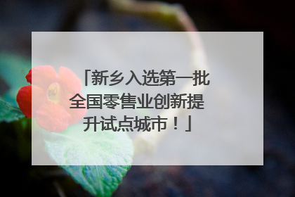 新乡入选第一批全国零售业创新提升试点城市！