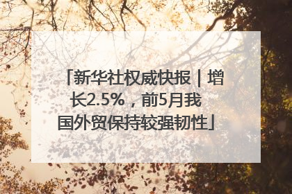 新华社权威快报｜增长2.5%，前5月我国外贸保持较强韧性