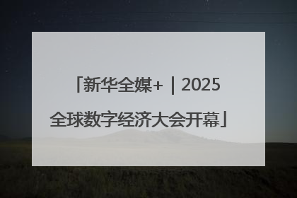 新华全媒+｜2025全球数字经济大会开幕