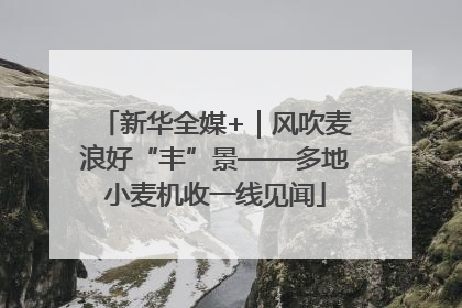 新华全媒+｜风吹麦浪好“丰”景——多地小麦机收一线见闻