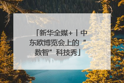 新华全媒+丨中东欧博览会上的“数智”科技秀