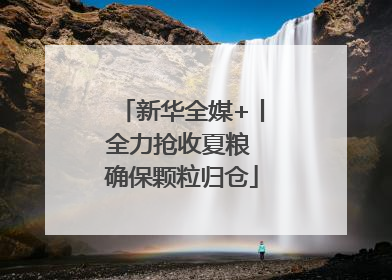 新华全媒+丨全力抢收夏粮 确保颗粒归仓