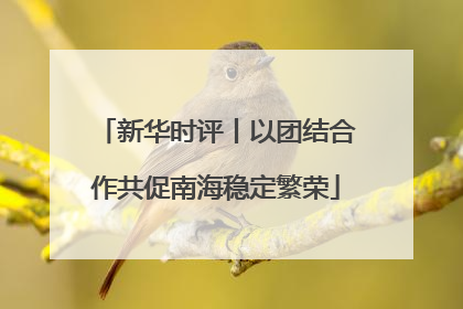 新华时评丨以团结合作共促南海稳定繁荣