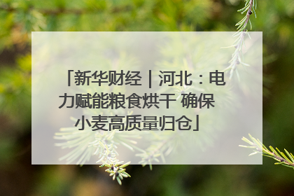 新华财经｜河北：电力赋能粮食烘干 确保小麦高质量归仓