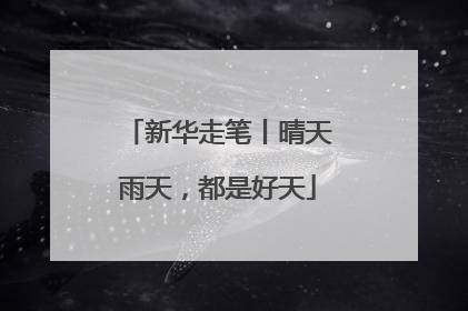 新华走笔丨晴天雨天，都是好天