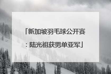 新加坡羽毛球公开赛：陆光祖获男单亚军