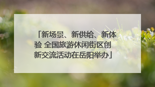 新场景、新供给、新体验 全国旅游休闲街区创新交流活动在岳阳举办