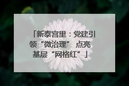 新泰宫里：党建引领“微治理” 点亮基层“网格红”
