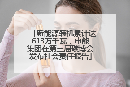 新能源装机累计达613万千瓦，申能集团在第三届碳博会发布社会责任报告