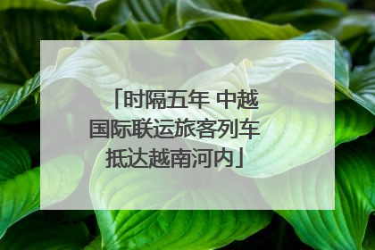 时隔五年 中越国际联运旅客列车抵达越南河内