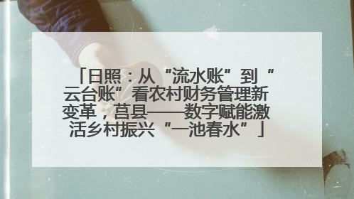 日照：从“流水账”到“云台账”看农村财务管理新变革，莒县——数字赋能激活乡村振兴“一池春水”
